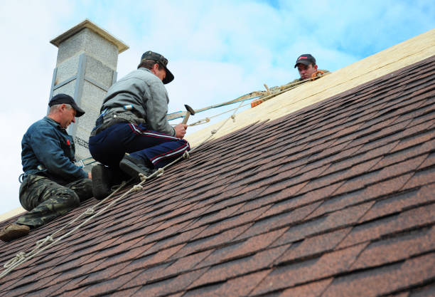Gutter Installation and Roofing in La Grange, KY